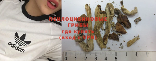 твердый Алексин