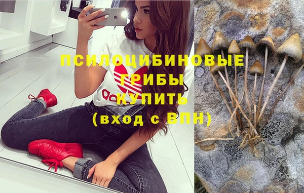 каннабис Абаза